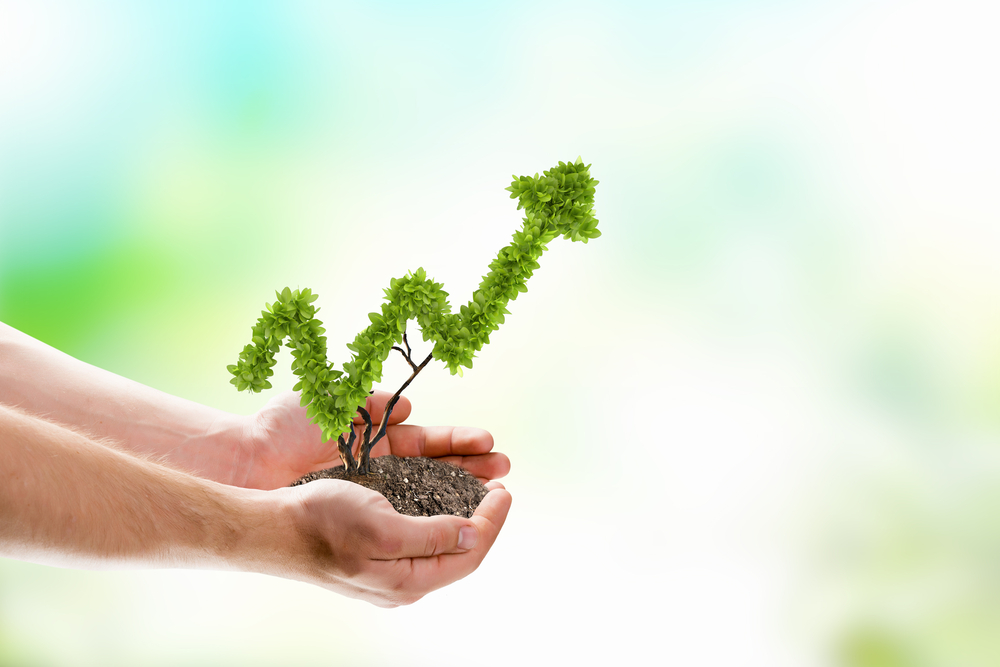 Image of human hands holding plant shaped like arrow-1