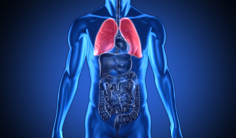 Beobachtungsstudie Asthma und COPD in 19 Ländern